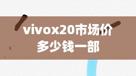 Vivox20市场价多少钱一部？