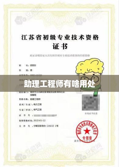 助理工程师的用处，提升工作效率与项目质量的专业助手