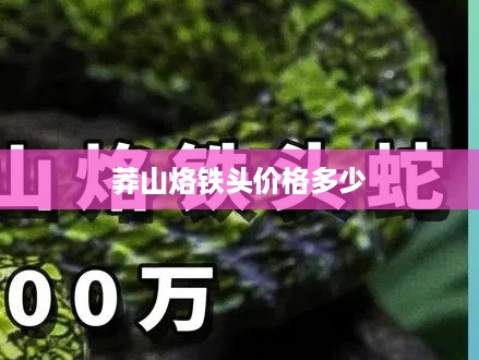 莽山烙铁头蛇的价格，市场参考价。，直接回应了用户的需求，即提供关于莽山烙铁头价格的信息。
