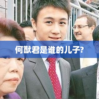 何猷君是何鸿燊的儿子。