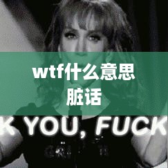 WTF 脏话含义解析