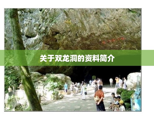 双龙洞的资料简介