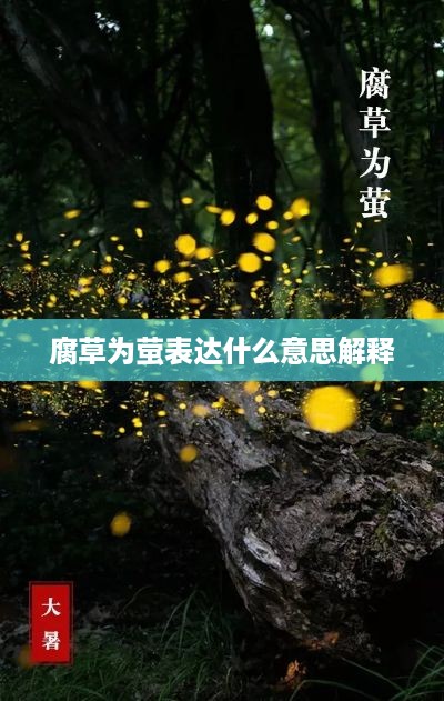 腐草为萤，寓意与解释