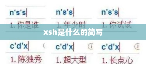 xsh是信息共享的简写。