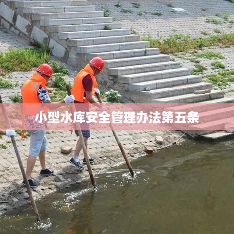 小型水库安全管理办法第五条，安全责任与措施规定