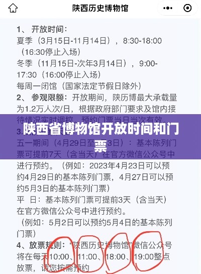 陕西省博物馆开放时间与门票信息