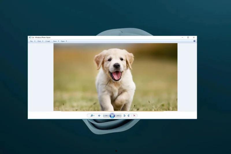 Windows照片查看器无法显示此图片怎么办 第1张 Windows照片查看器无法显示此图片怎么办 第1张